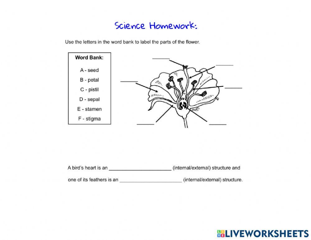 Homework Week 6 Day 2