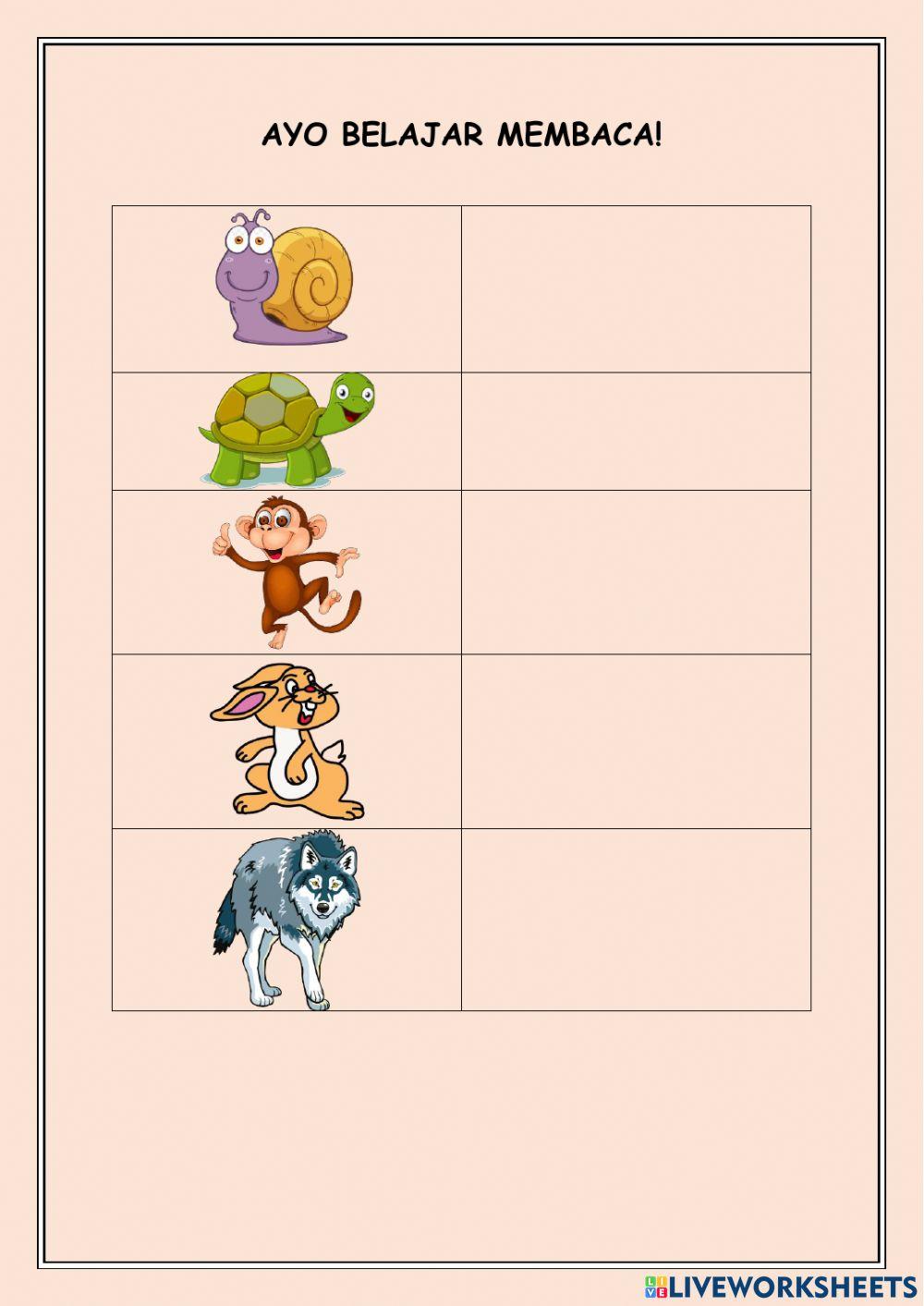 Kura-kura dna kelinci sombong