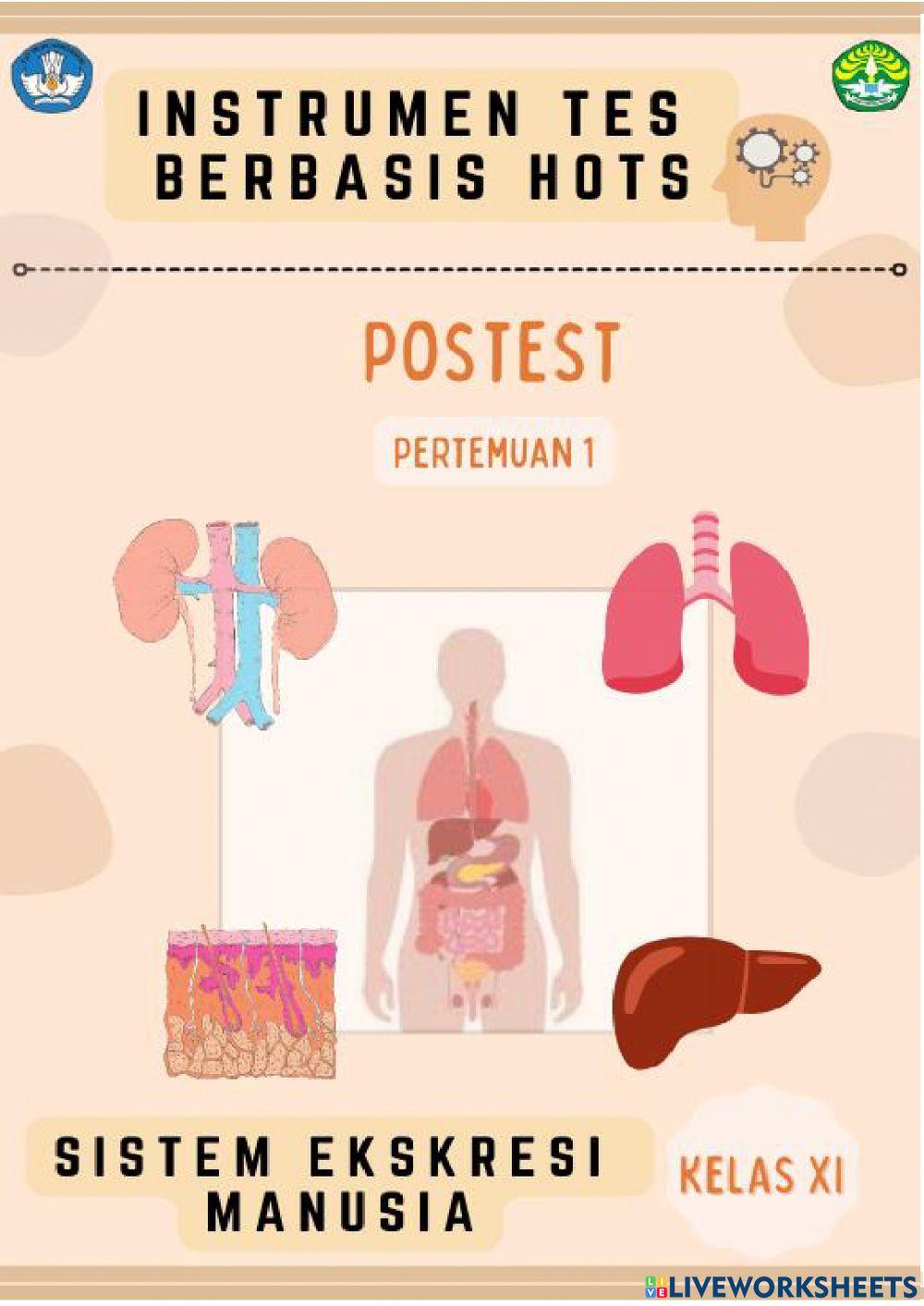 Postes pilihan ganda pertemuan 1