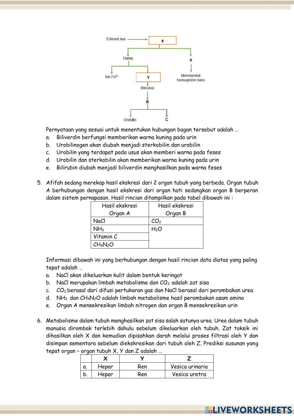 Postes pilihan ganda pertemuan 1