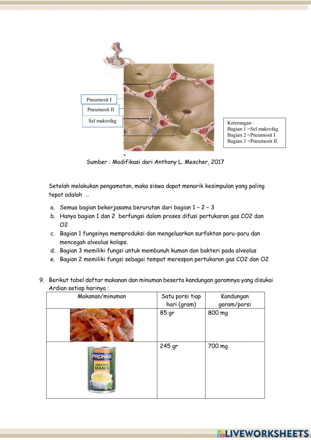 Postes pilihan ganda pertemuan 1