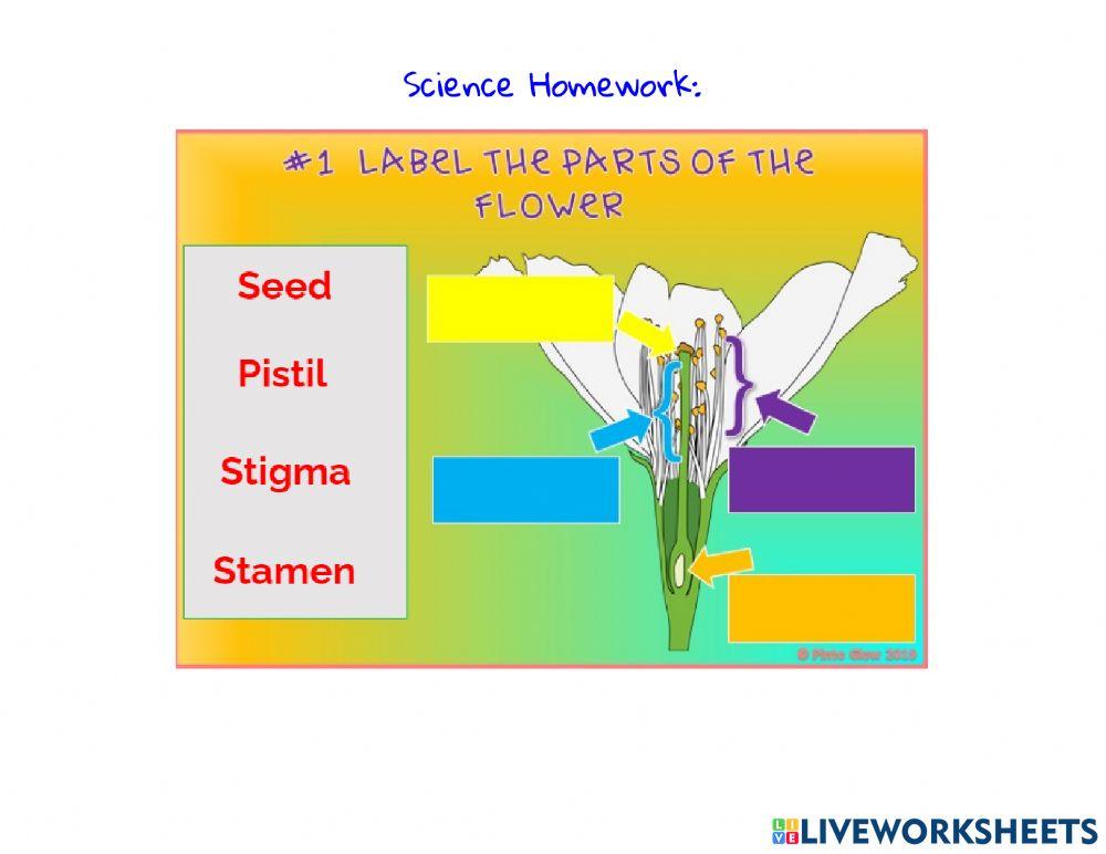 Homework Week 7 Day 2