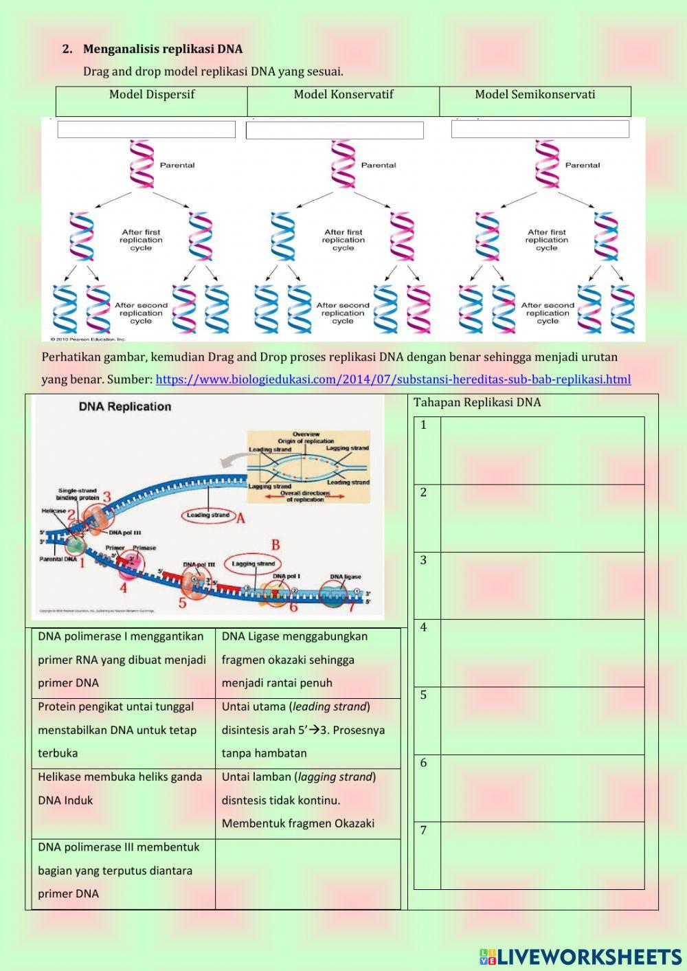 DNA dan RNA