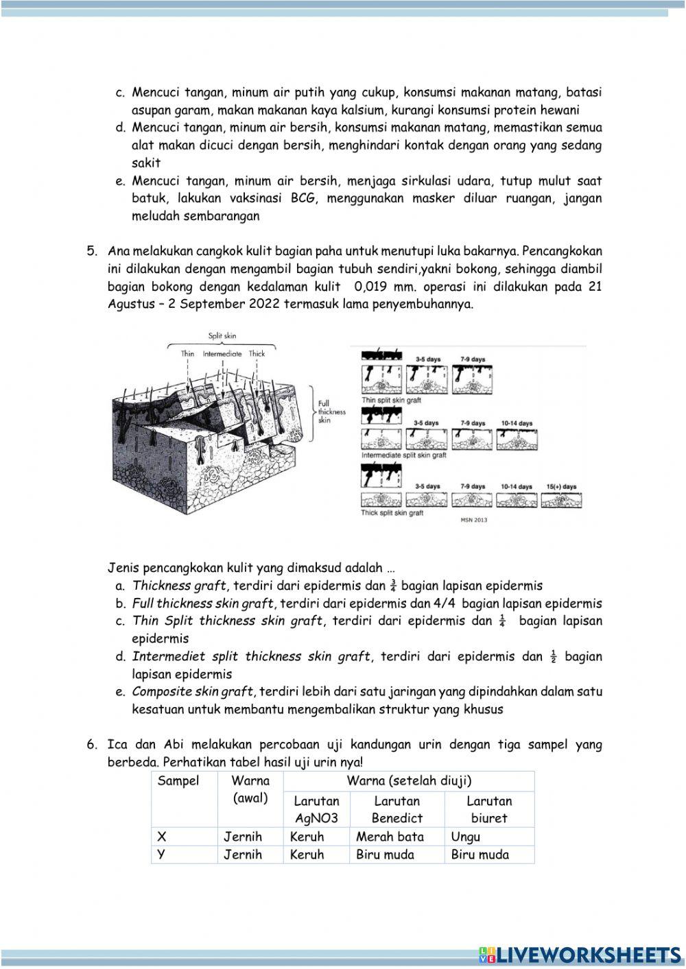 Postes Pilihan Ganda Pertemuan 3