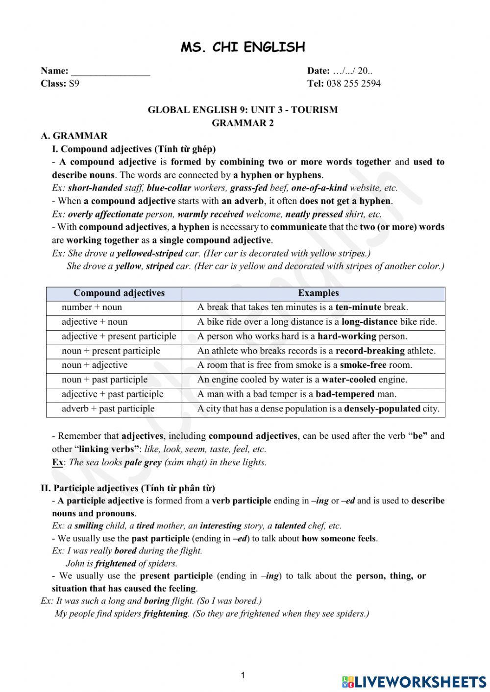 Viet Teacher-S9-Week 9-Unit 3-Gram