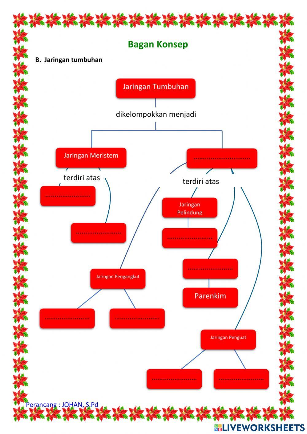 Struktur dan Fungsi Tumbuhan 1