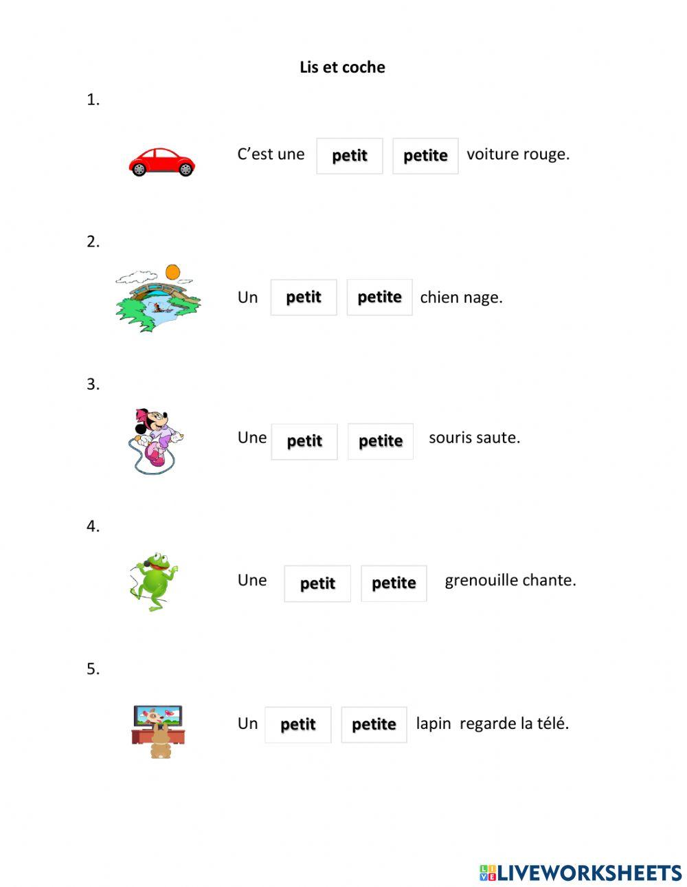 Le féminin de l'adjectif