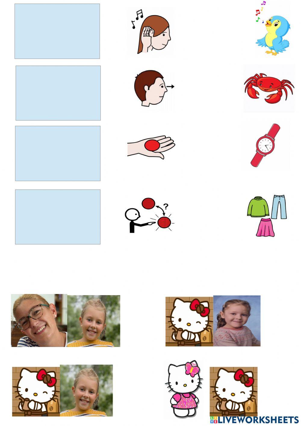 Diferentes verbos y diferentes personas pasado