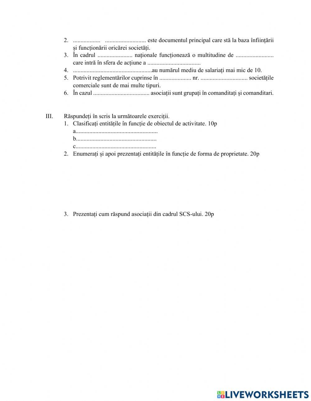 Fisa de lucru Tipuri de entitati