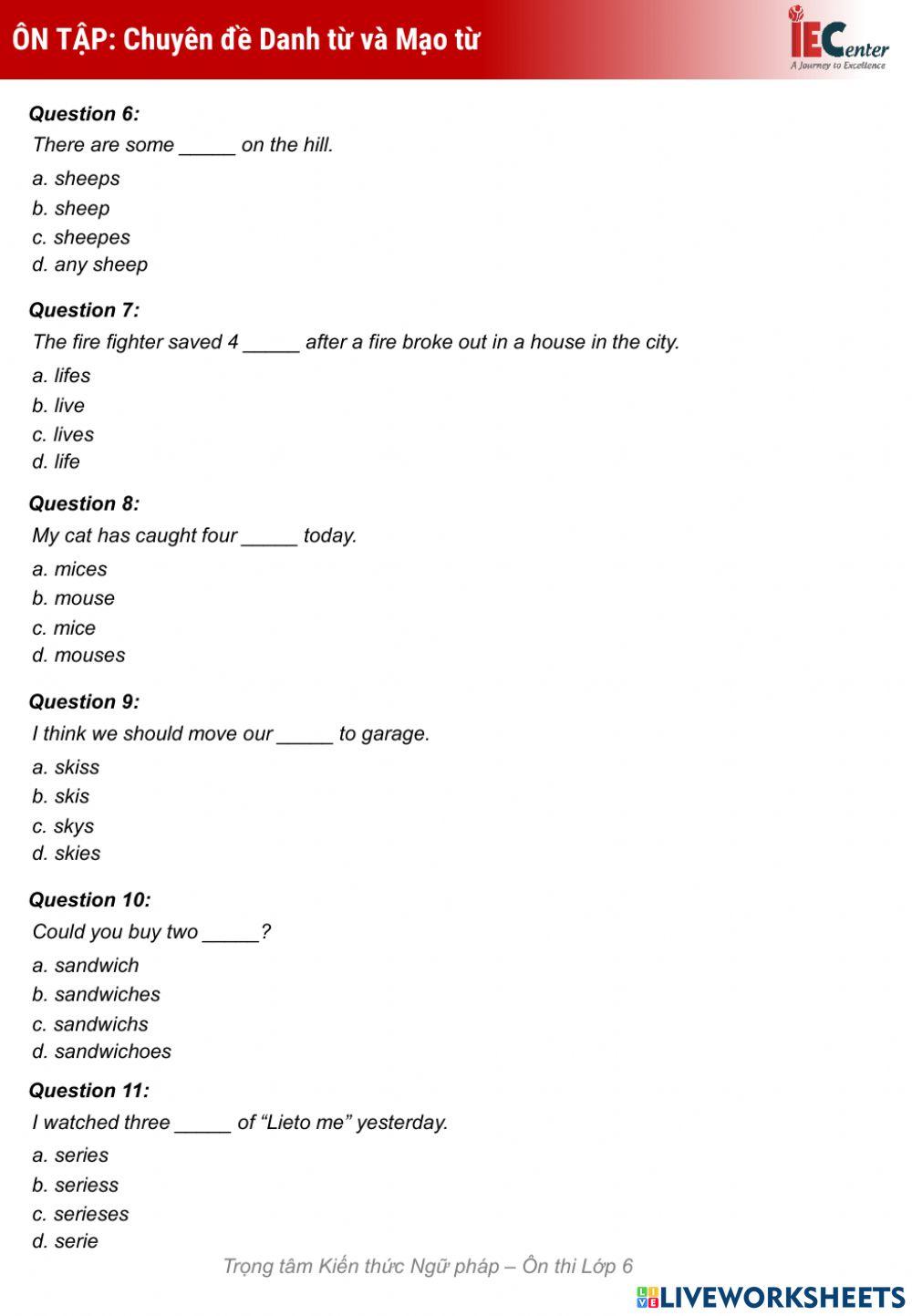 Revision: Nouns & Articles