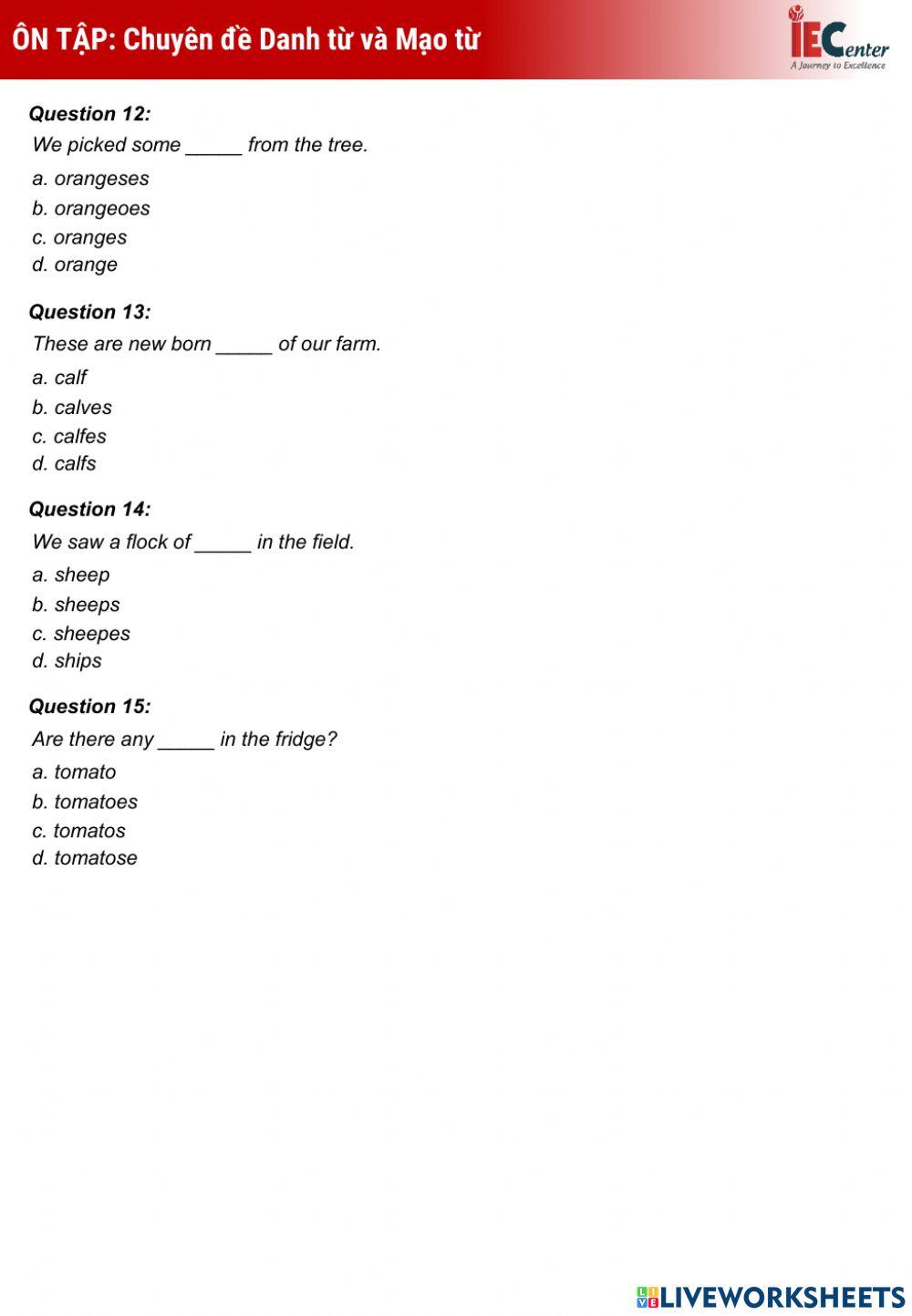 Revision: Nouns & Articles