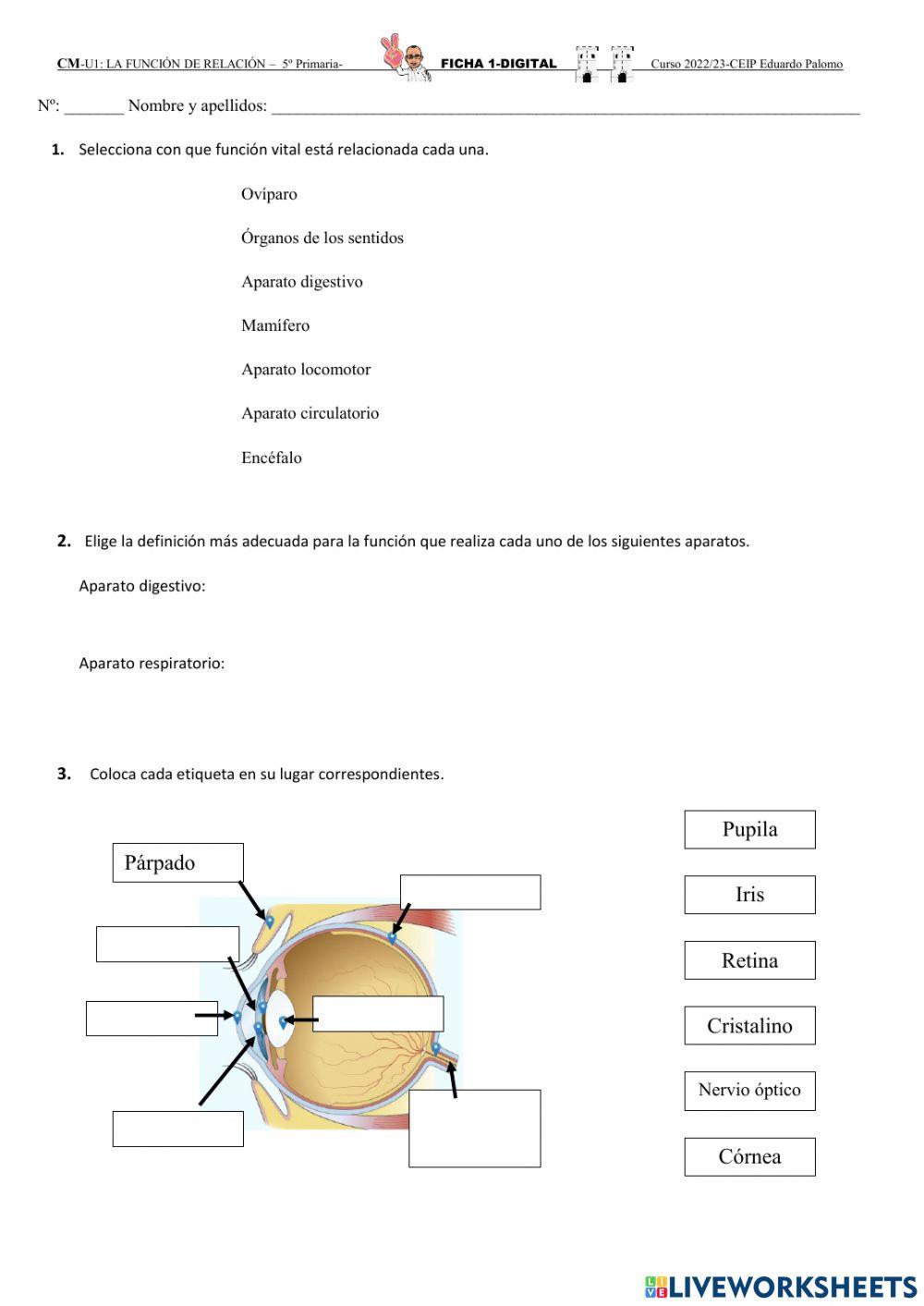La función de relación