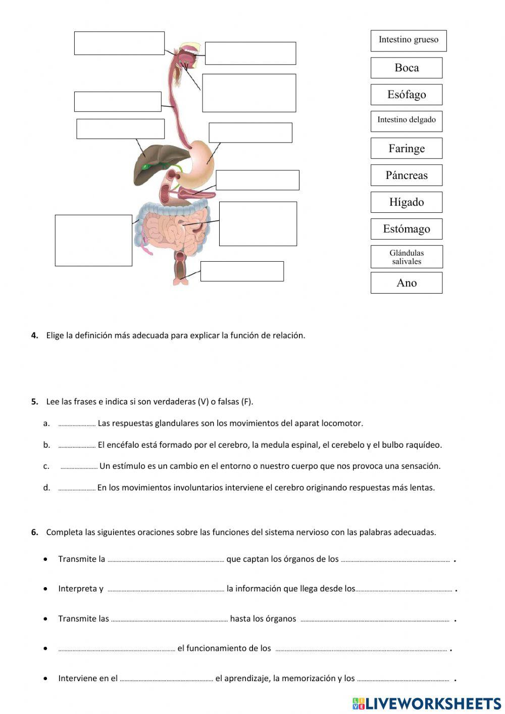 La función de relación