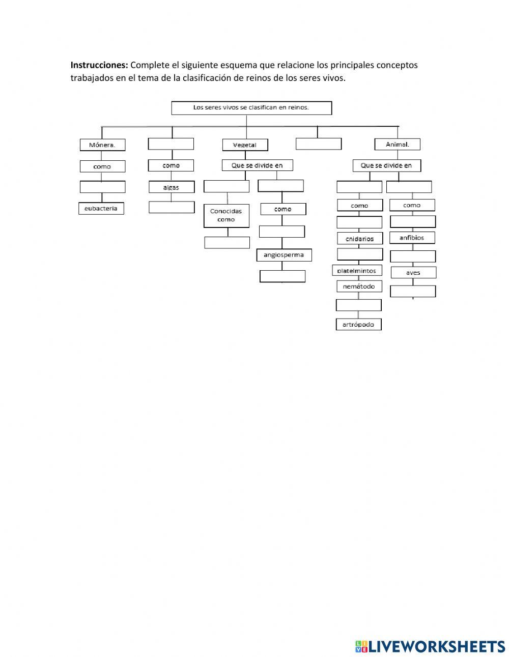 Esquema de los seres vivos.