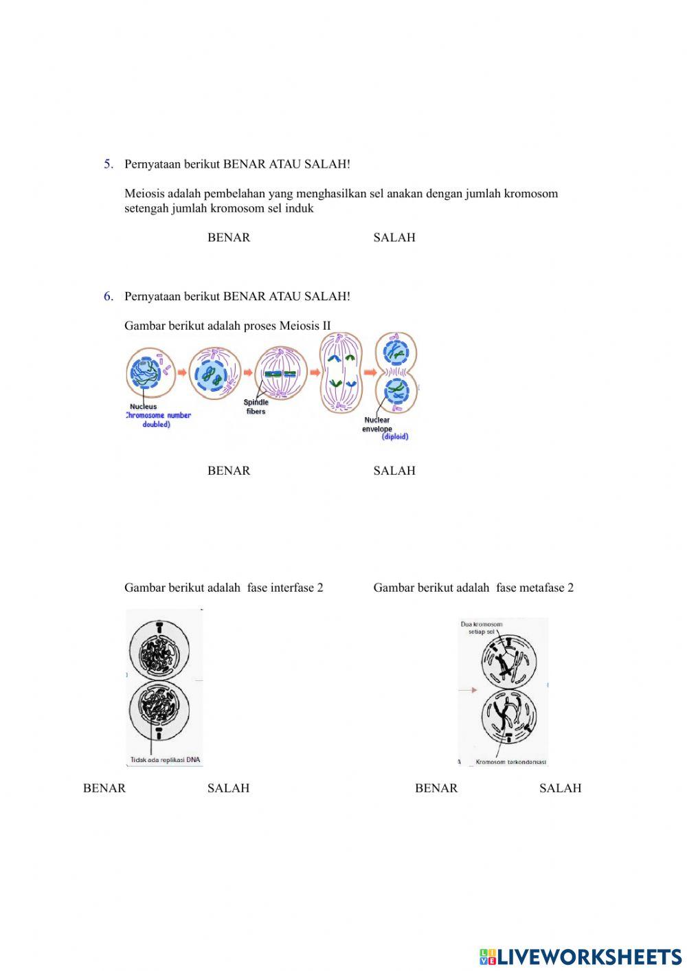 LKPD Pembelahan Sel Bagian 1