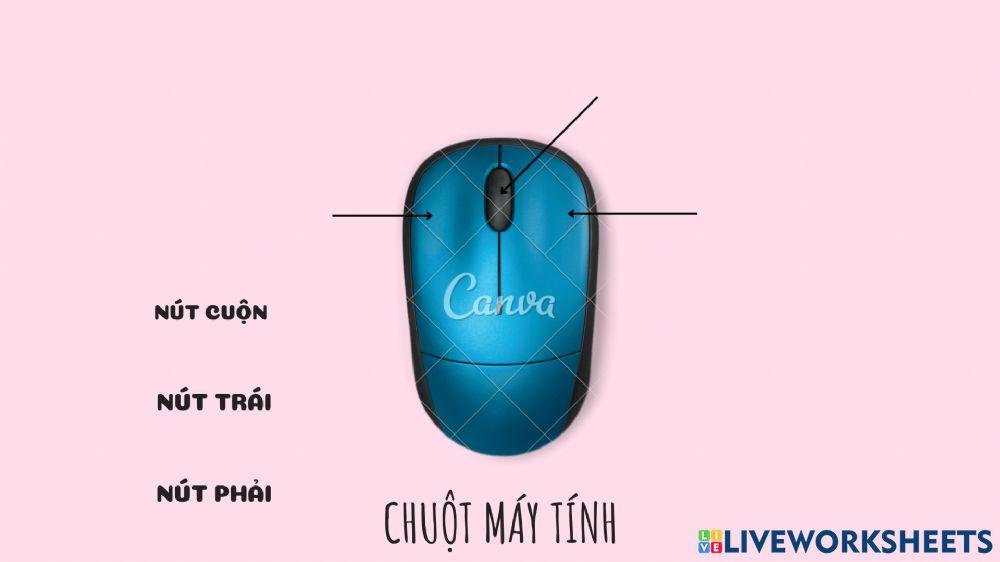 Cấu tạo chuột máy tính