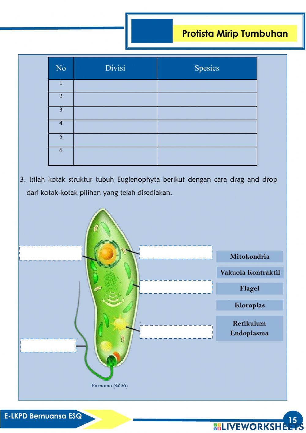 E-LKPD Bernuansa ESQ Pada Materi Protista (Algae)