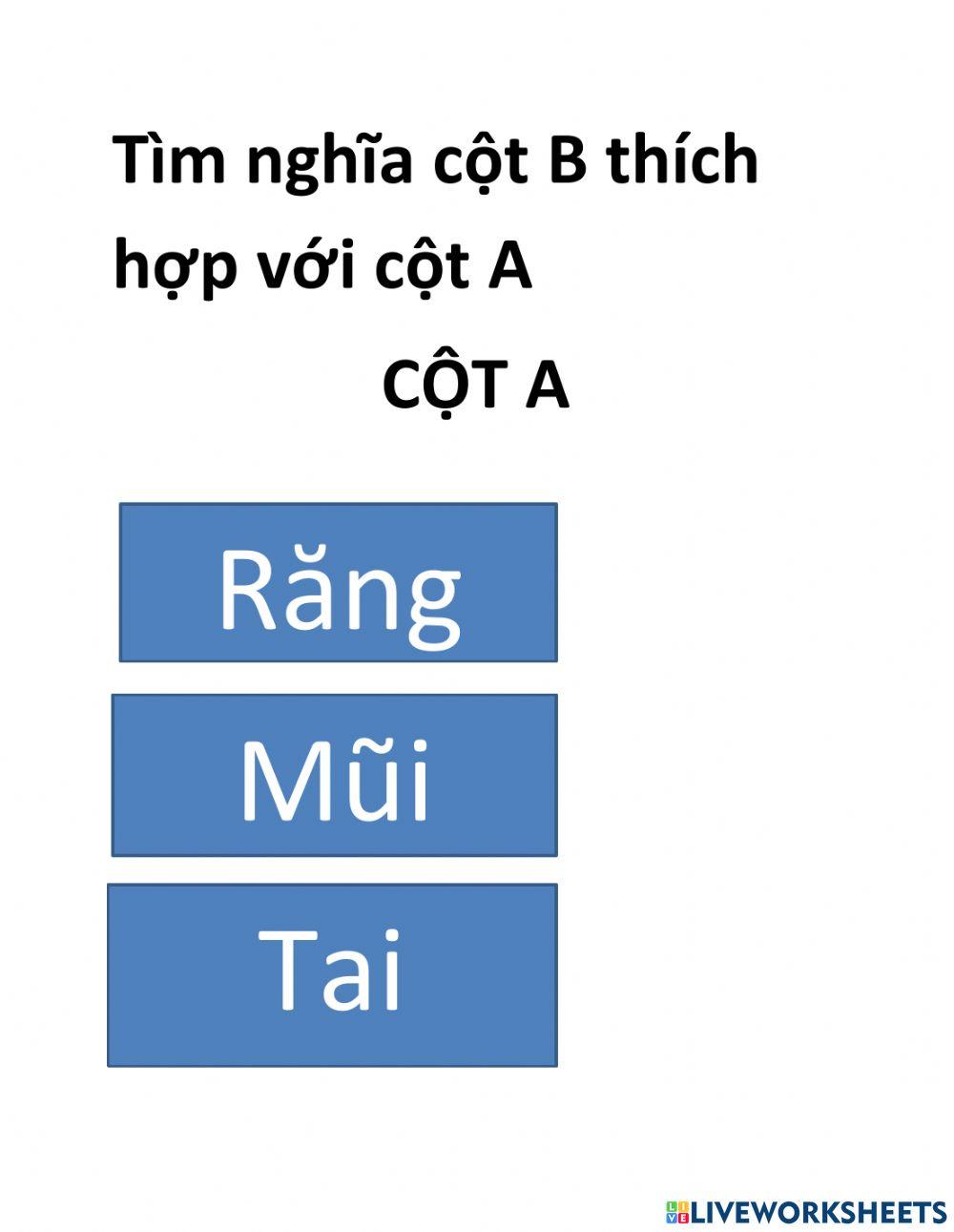 Tiếng việt