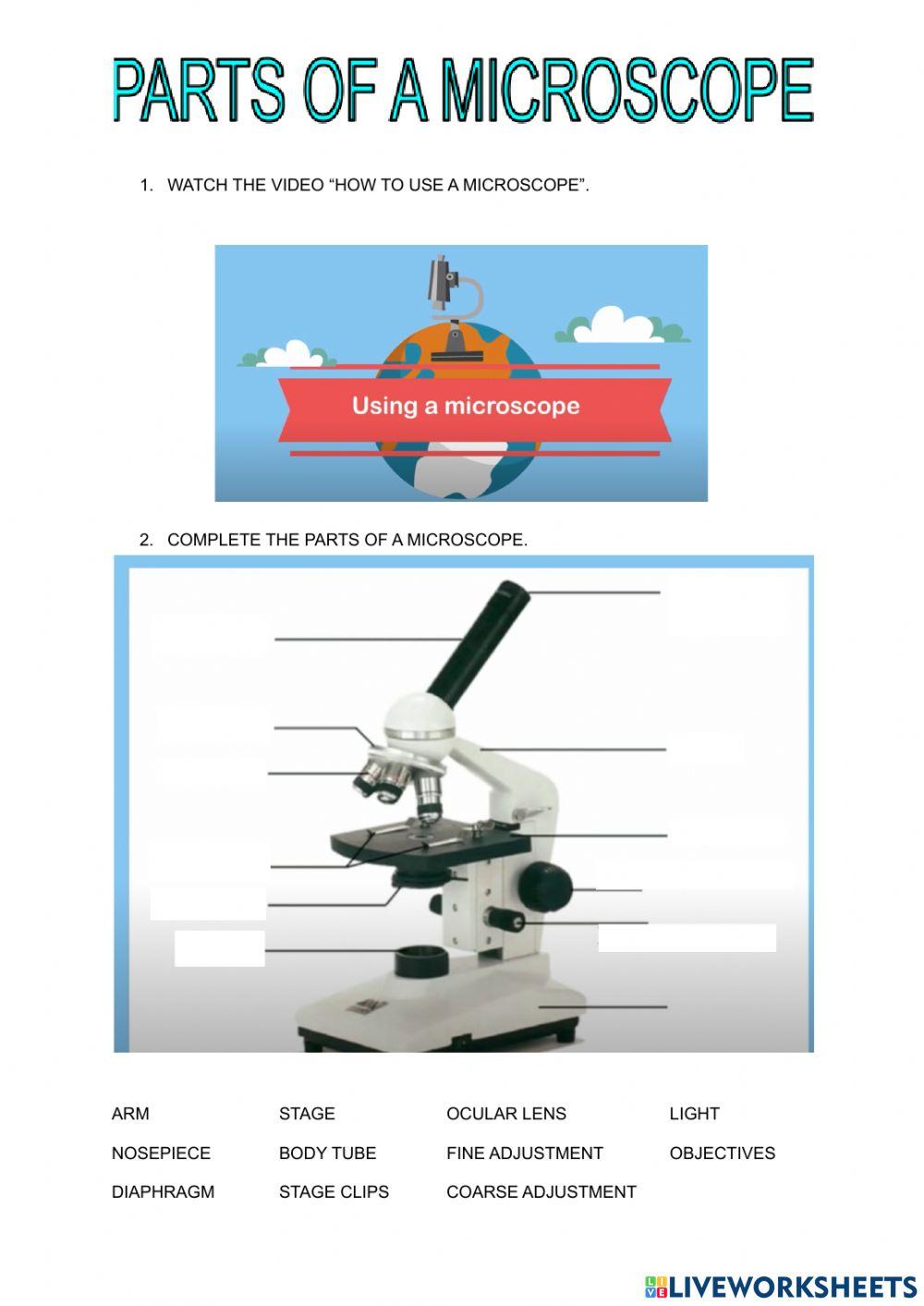 Parts Of A Microscope Worksheet Live Worksheets