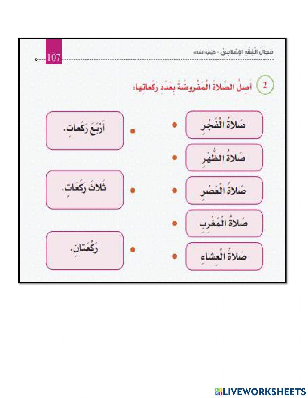 عدد ركعات الصلوات