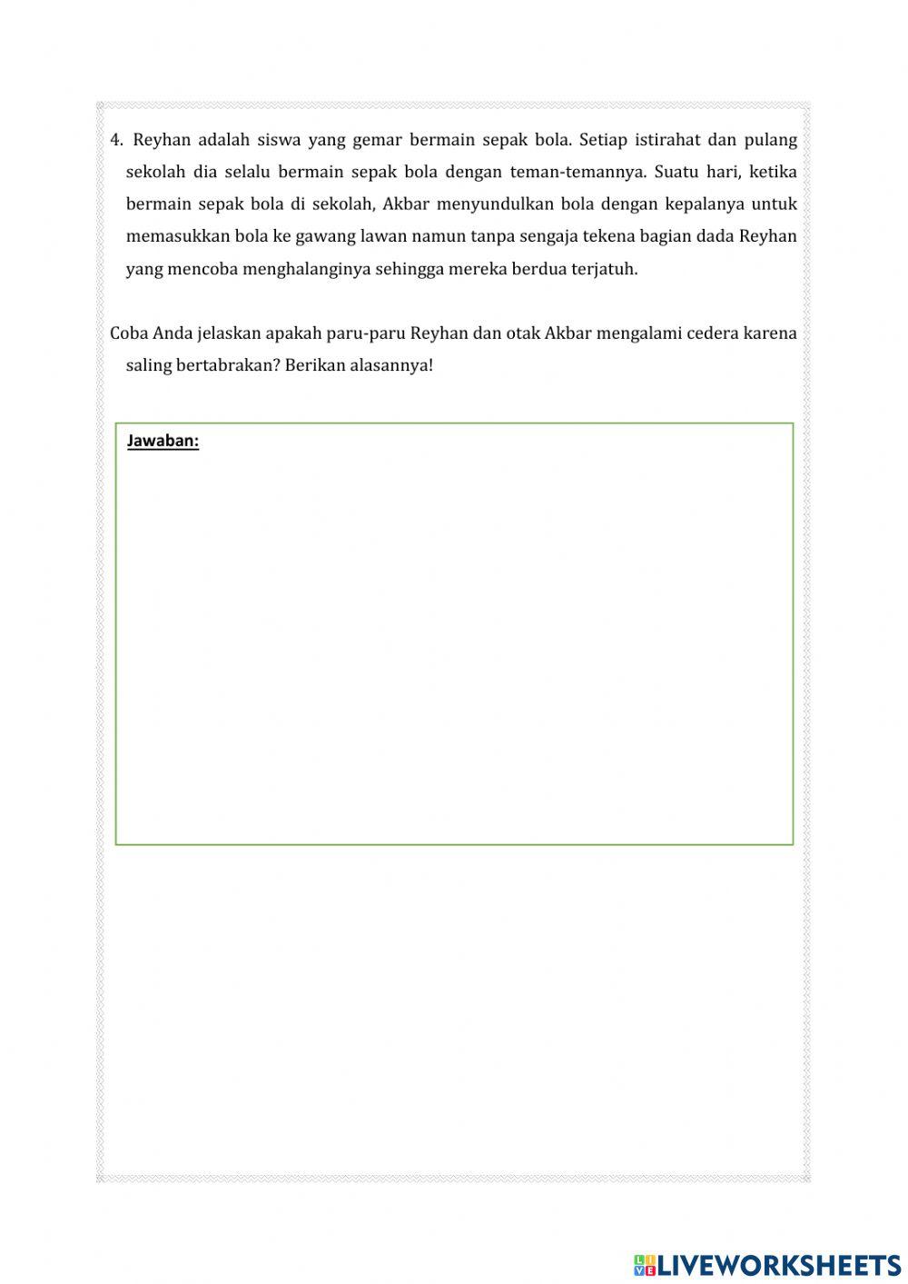 Rangka Tubuh Manusia