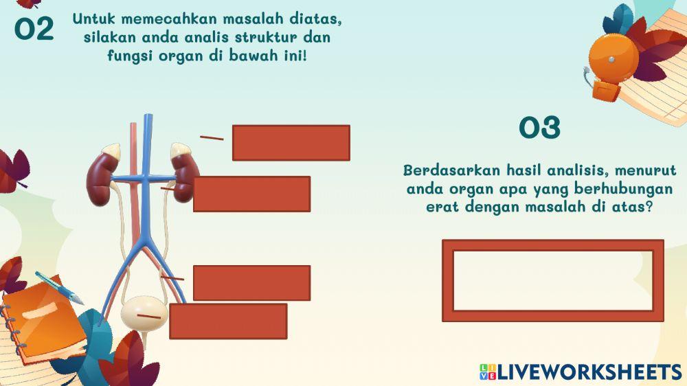 LKPD Sistem Perkemihan