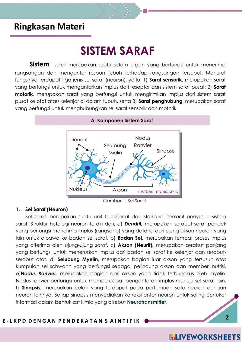 E-LKPD Saraf