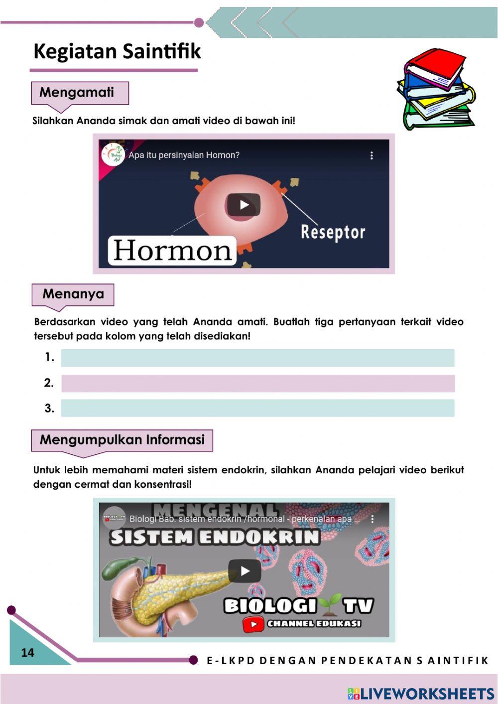E-LKPD Endokrin
