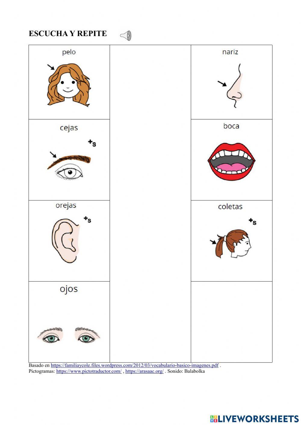 Vocabulario Básico 3