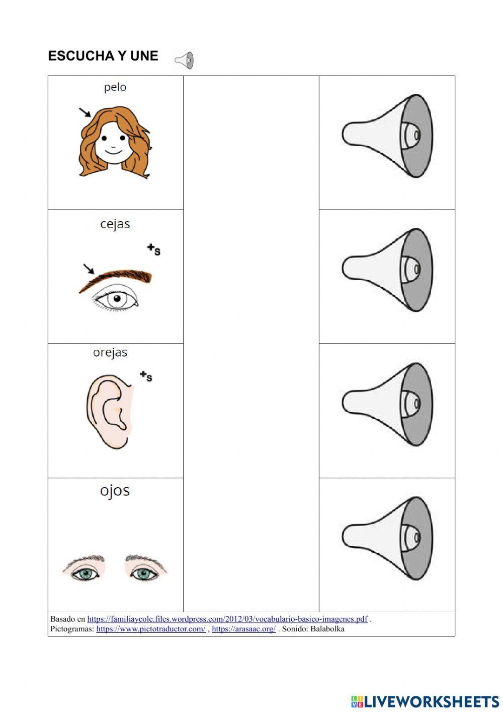 Vocabulario Básico 3