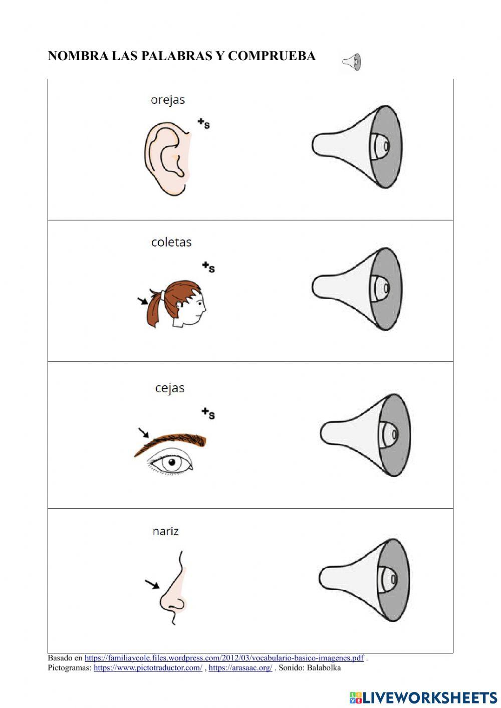 Vocabulario Básico 3