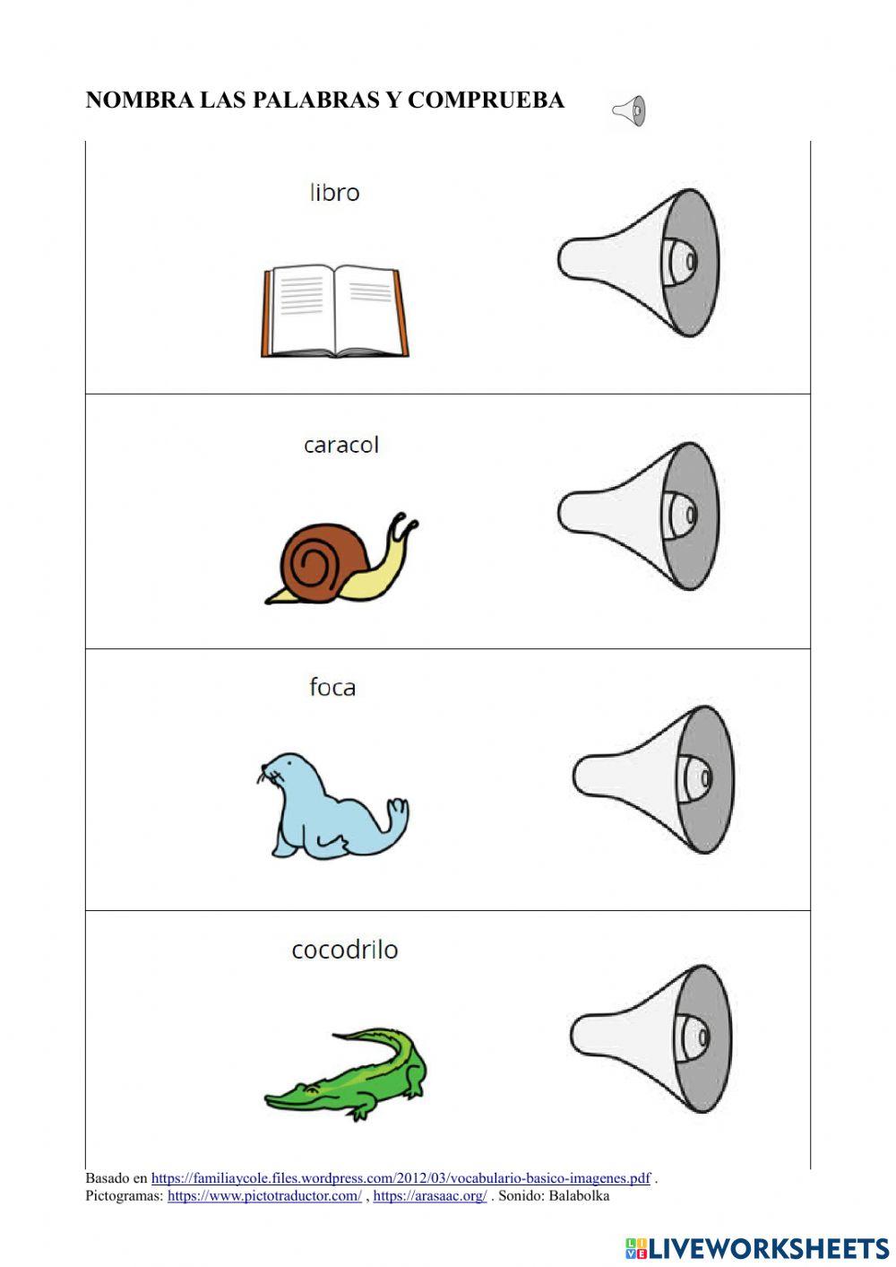 Vocabulario  Básico 11