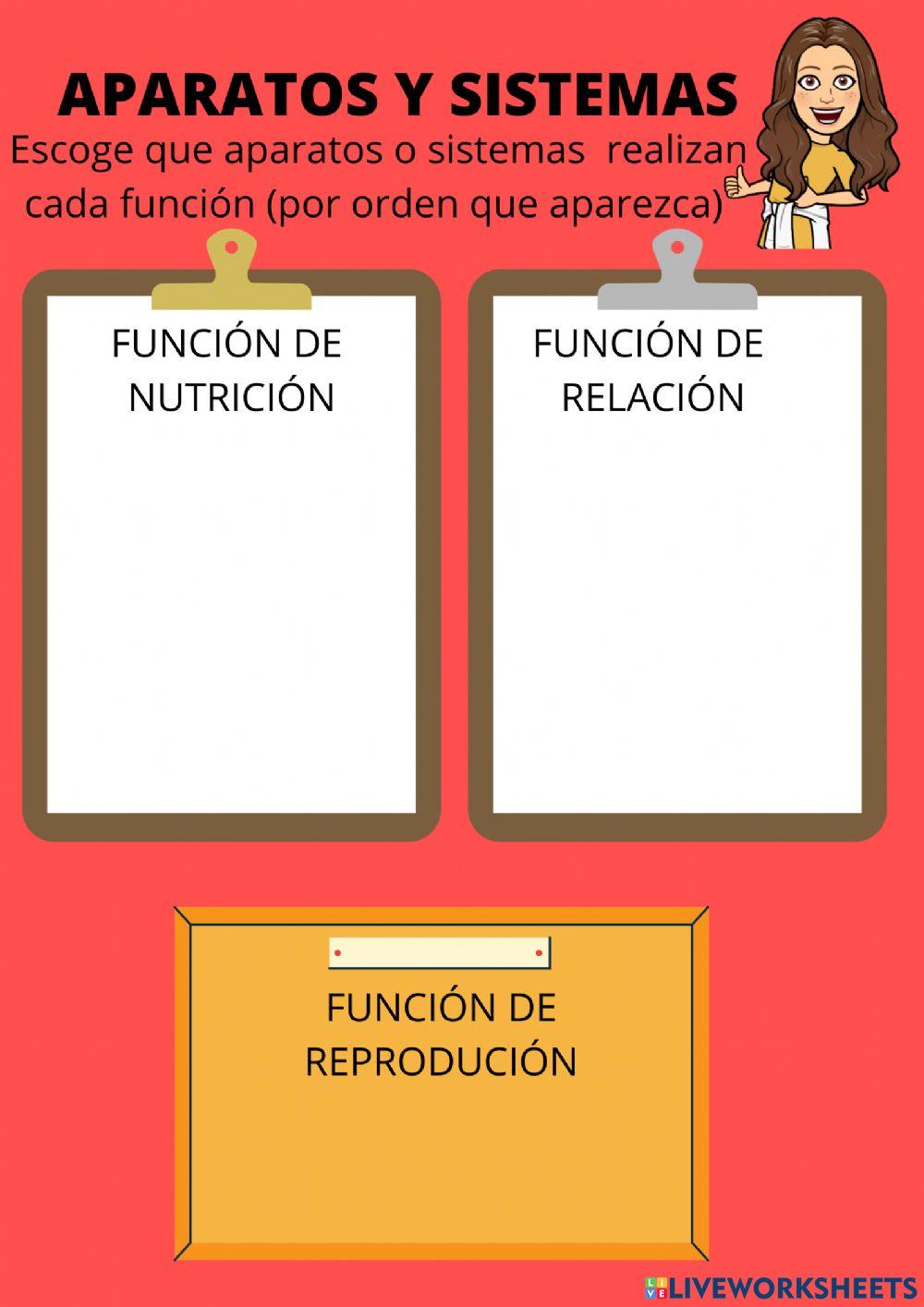 Funciones del ser humano Funciones del ser humano