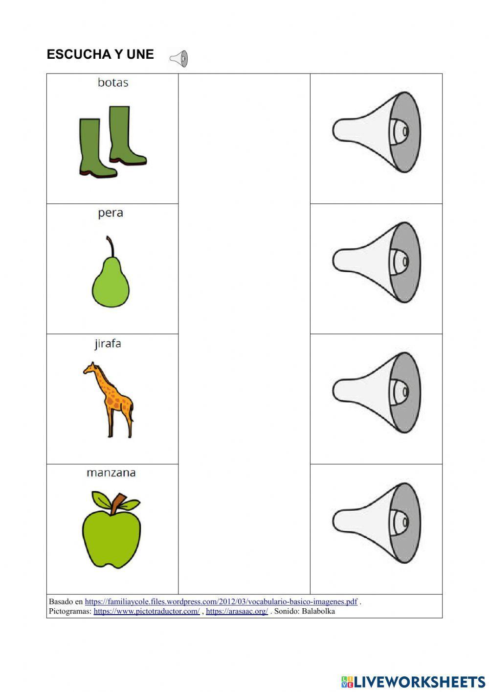 Vocabulario Básico 13