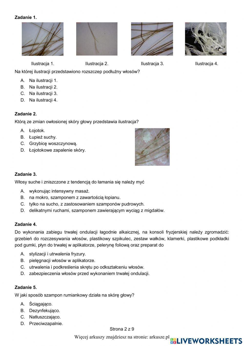 Fryzjer czerwiec 2019