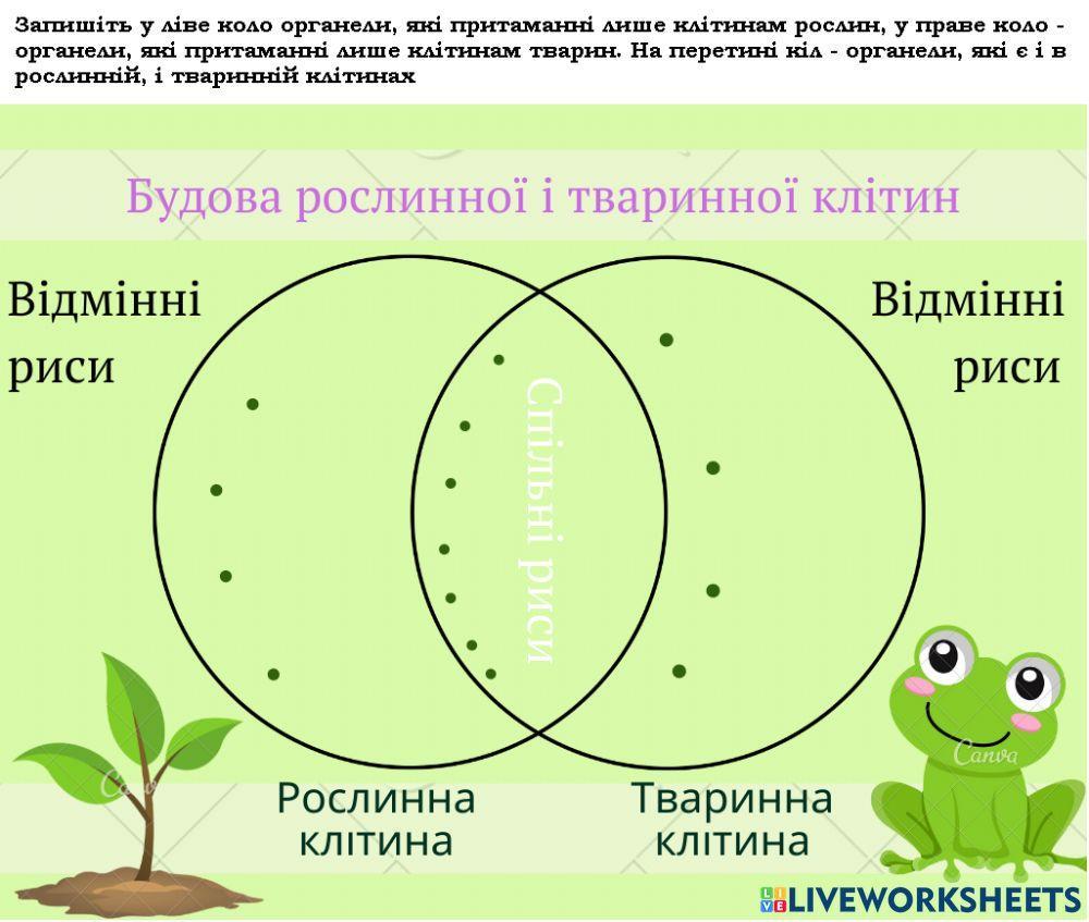 Будова рослинної і тваринної клітин