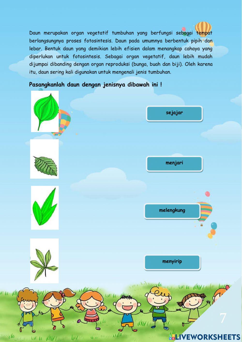 Bagian-Bagian Tumbuhan