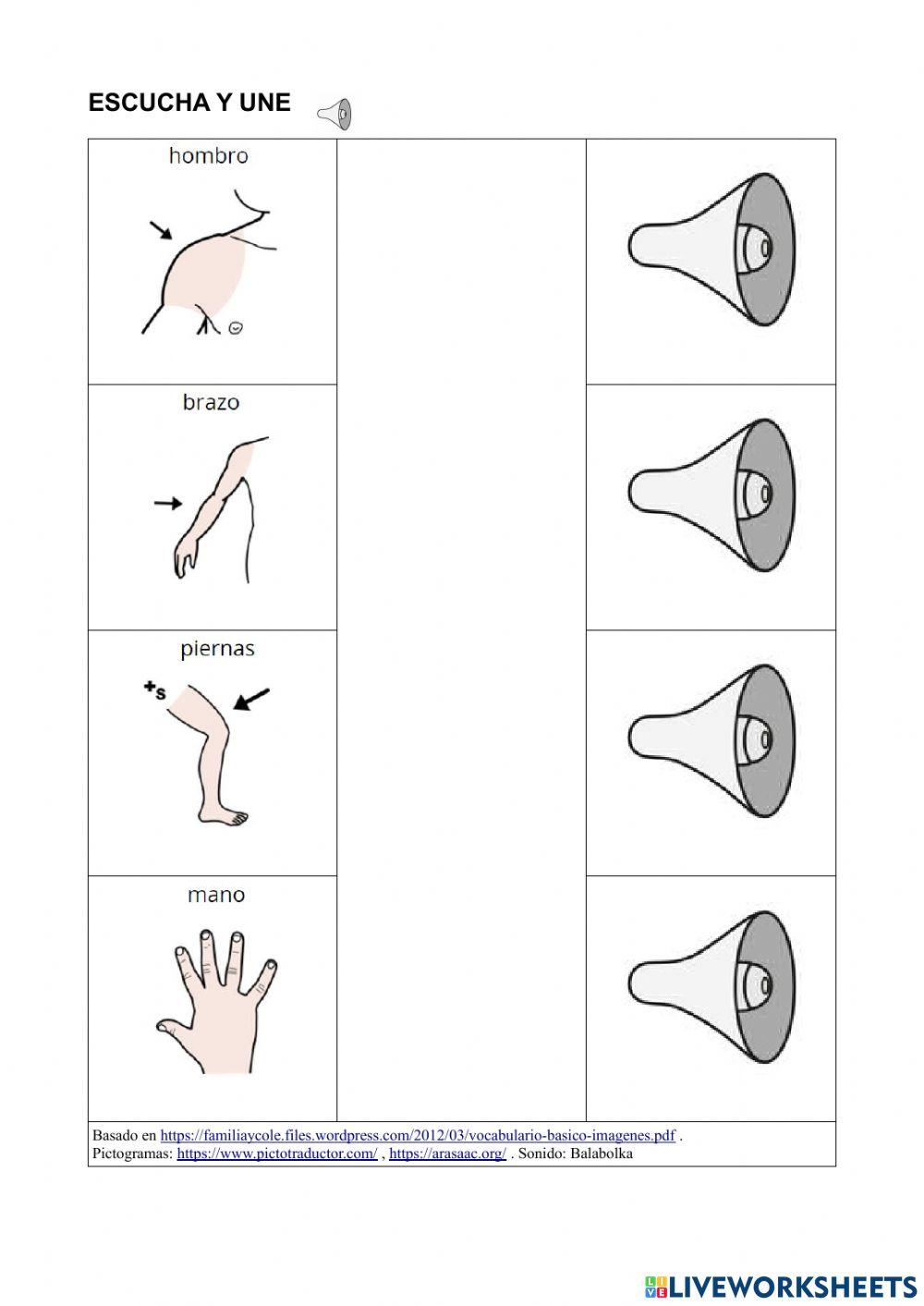 Vocabulario básico 16