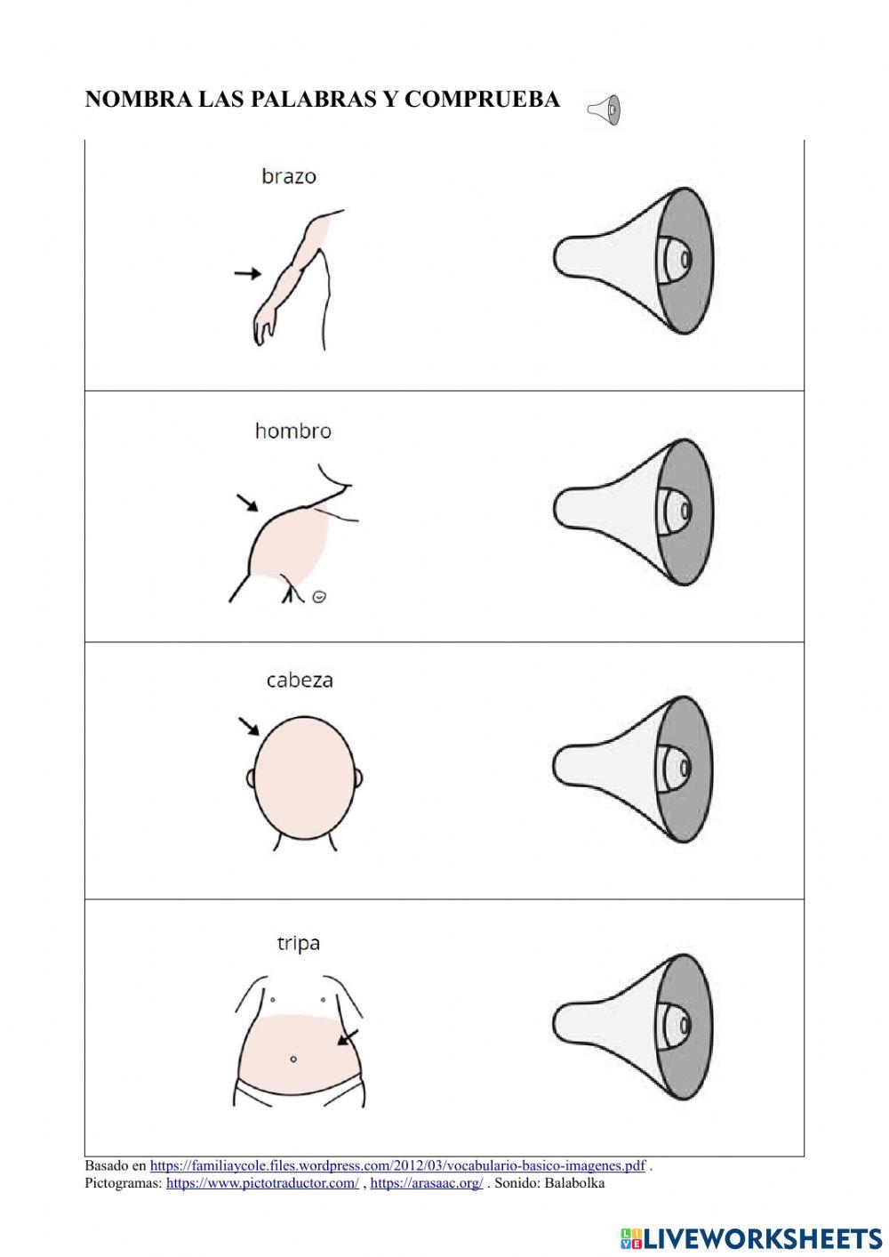 Vocabulario básico 16