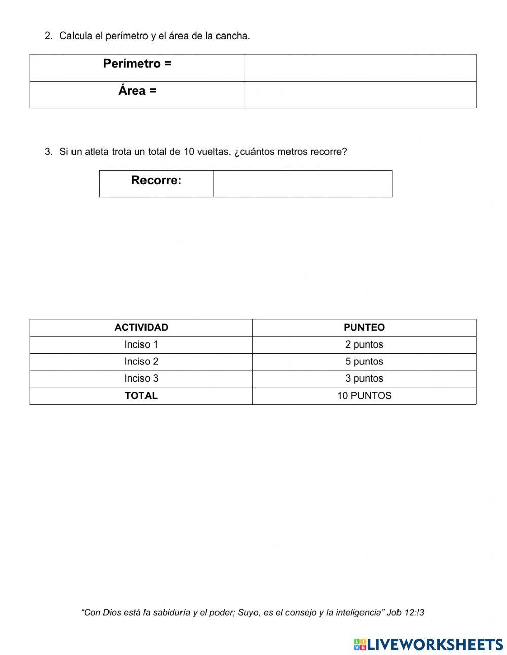 Perímetro y área de rectángulo