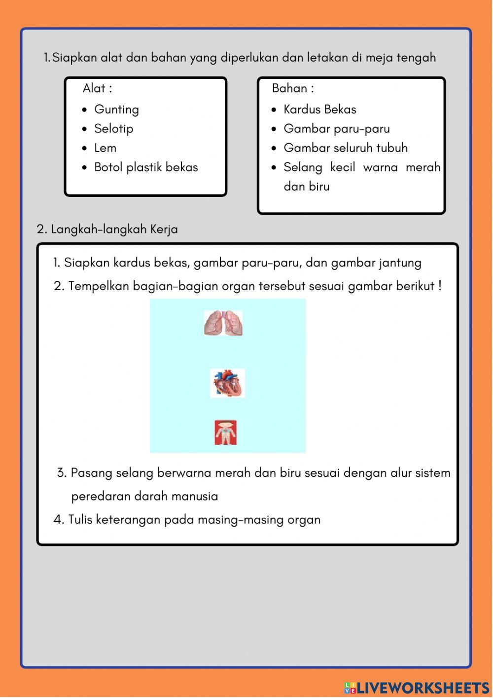 Lkpd sistem peredaran darah