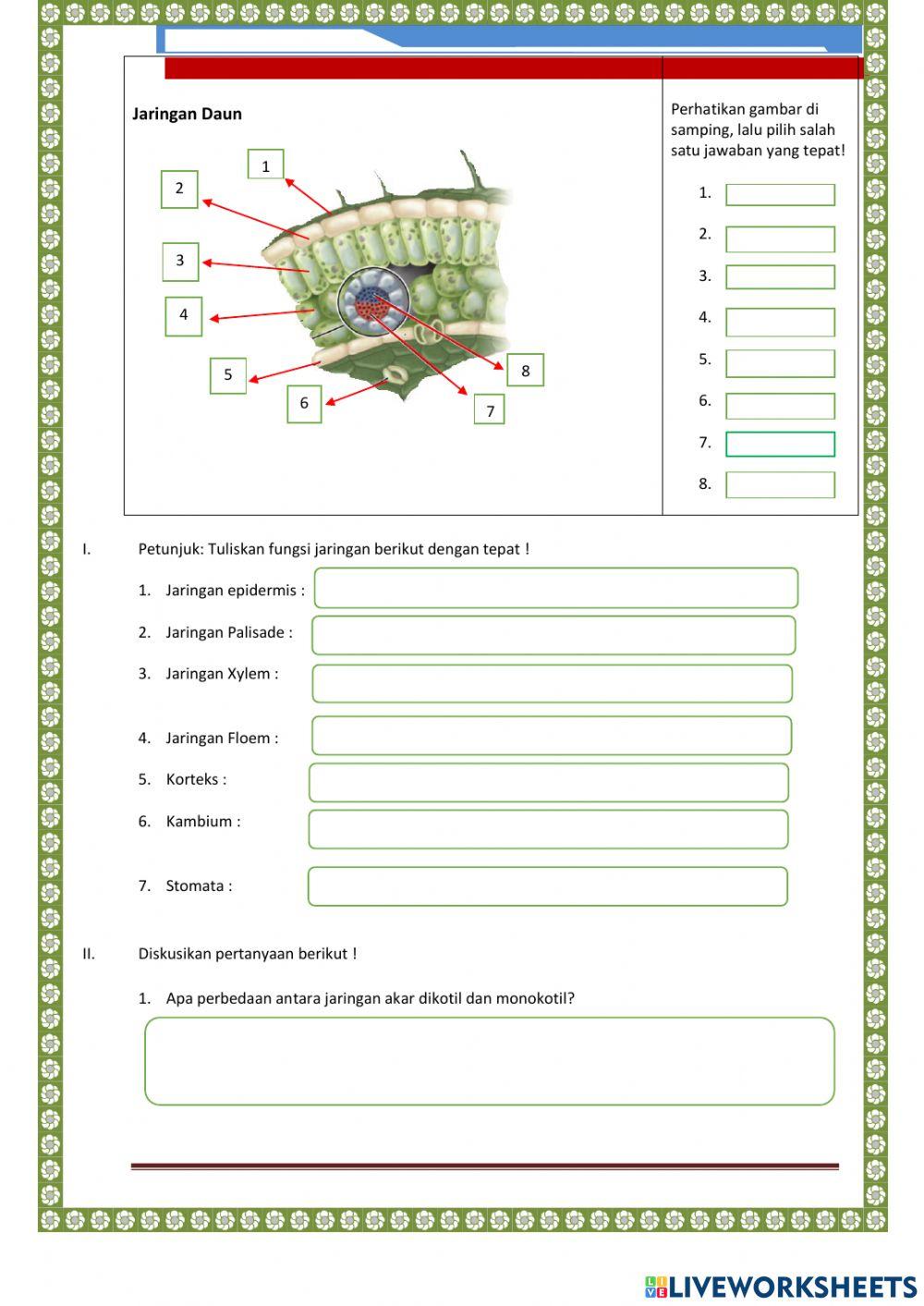 LKPD Struktur Jaringan Tumbuhan