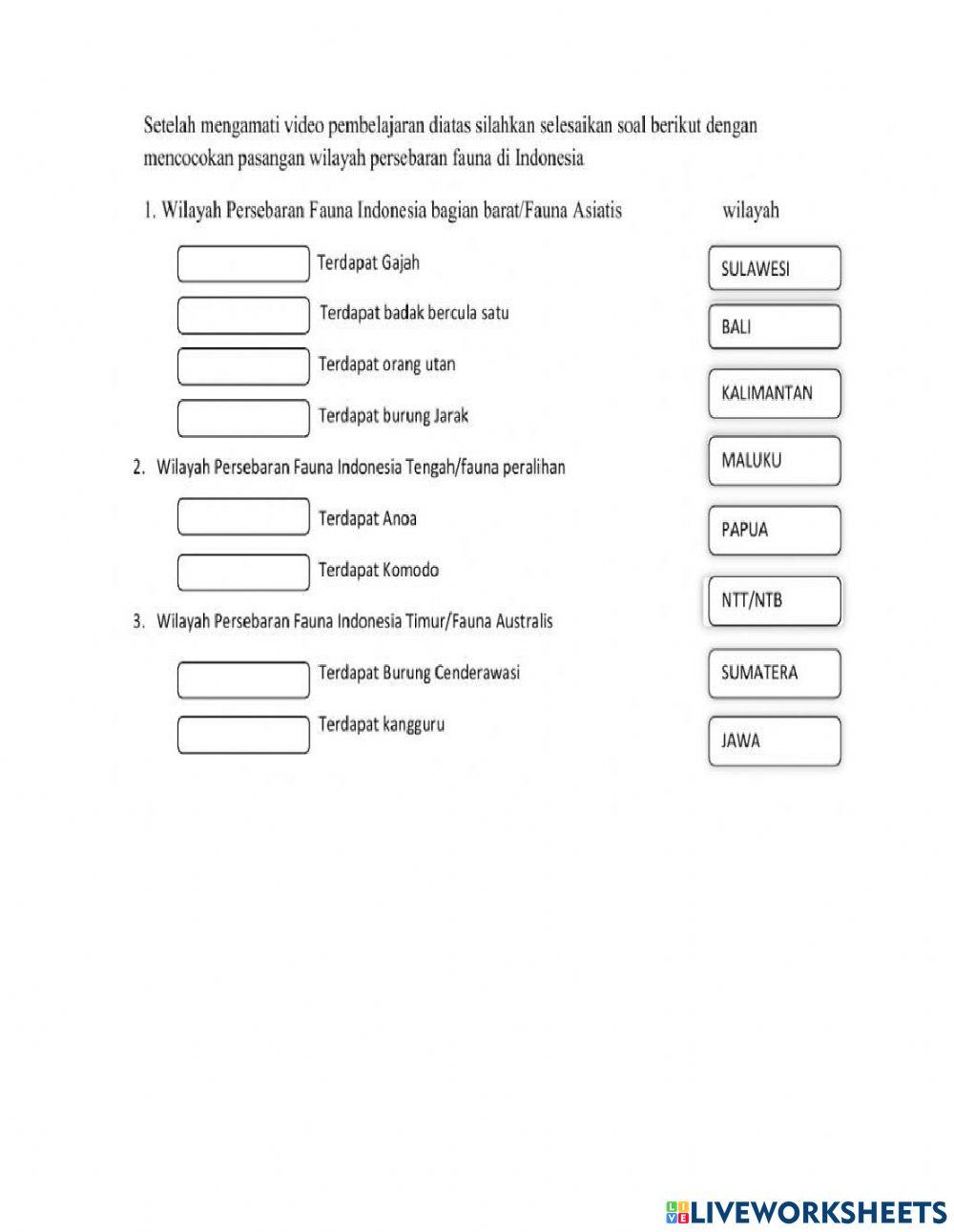 Persebaran fauna di indonesia