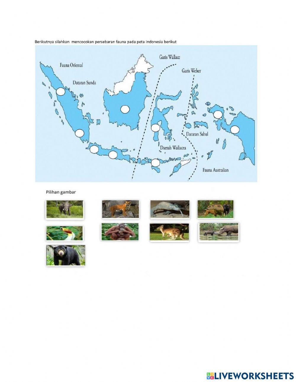 Persebaran fauna di indonesia