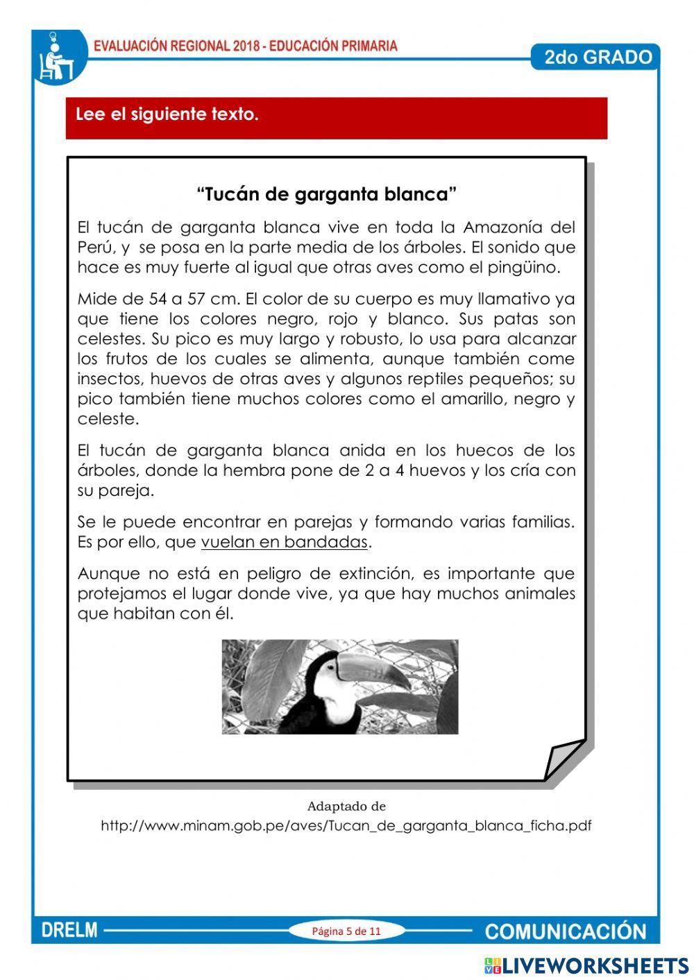 Comprensión lectora