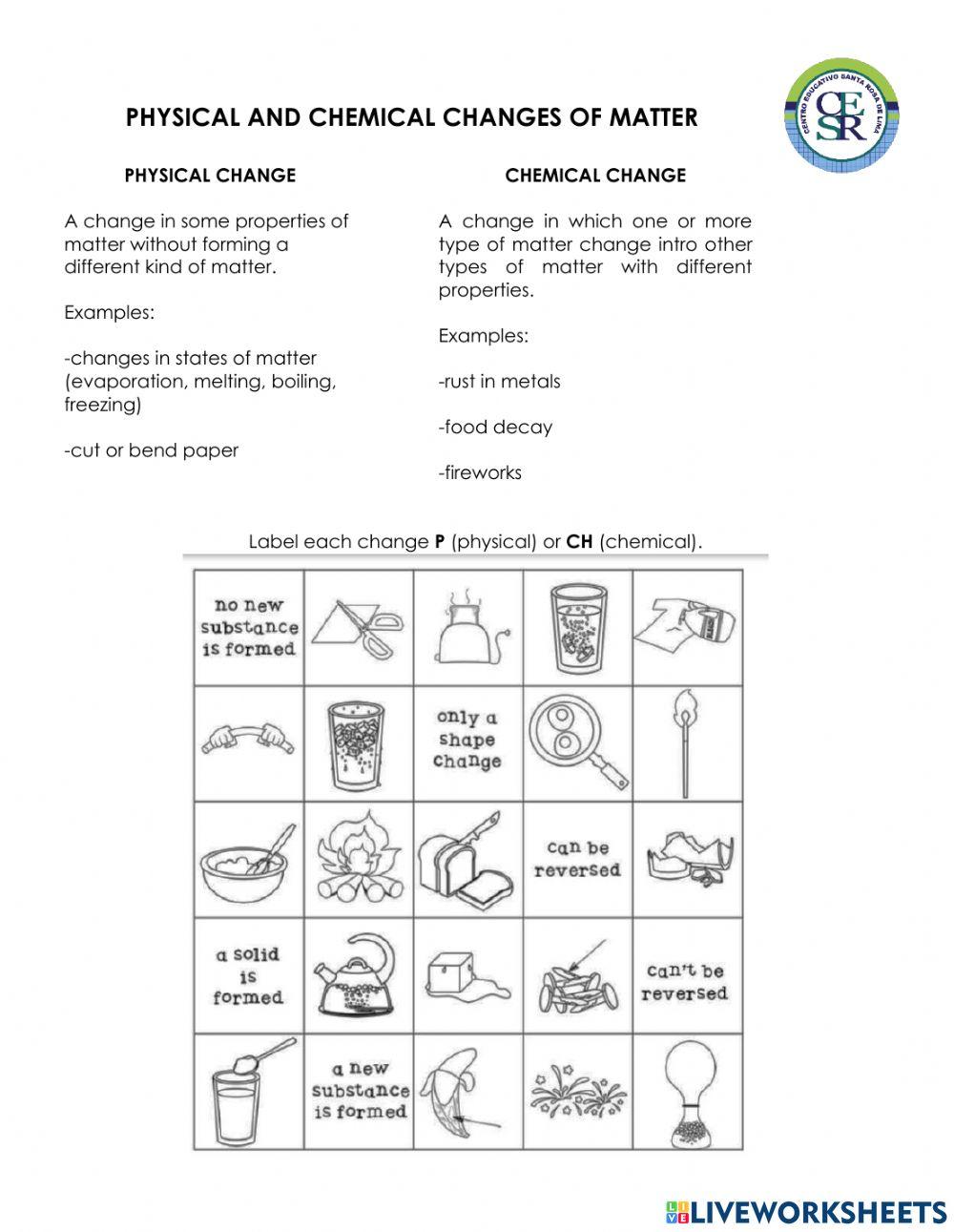 Physical and Chemical Changes of Matter