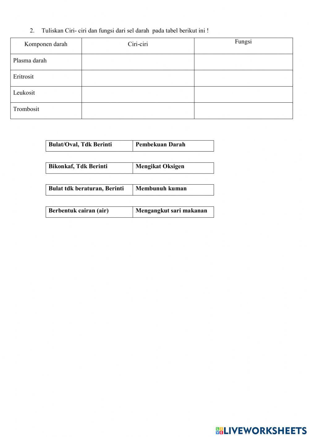 LKPD Sistem Peredaran Darah