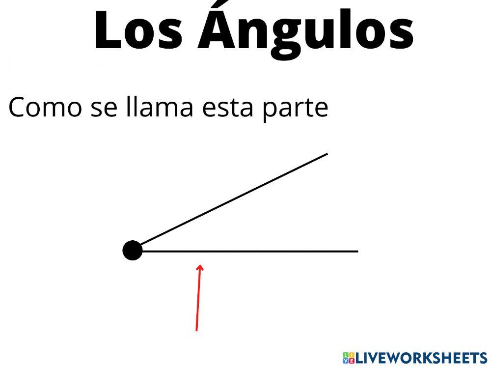 Ejercicio los ángulos