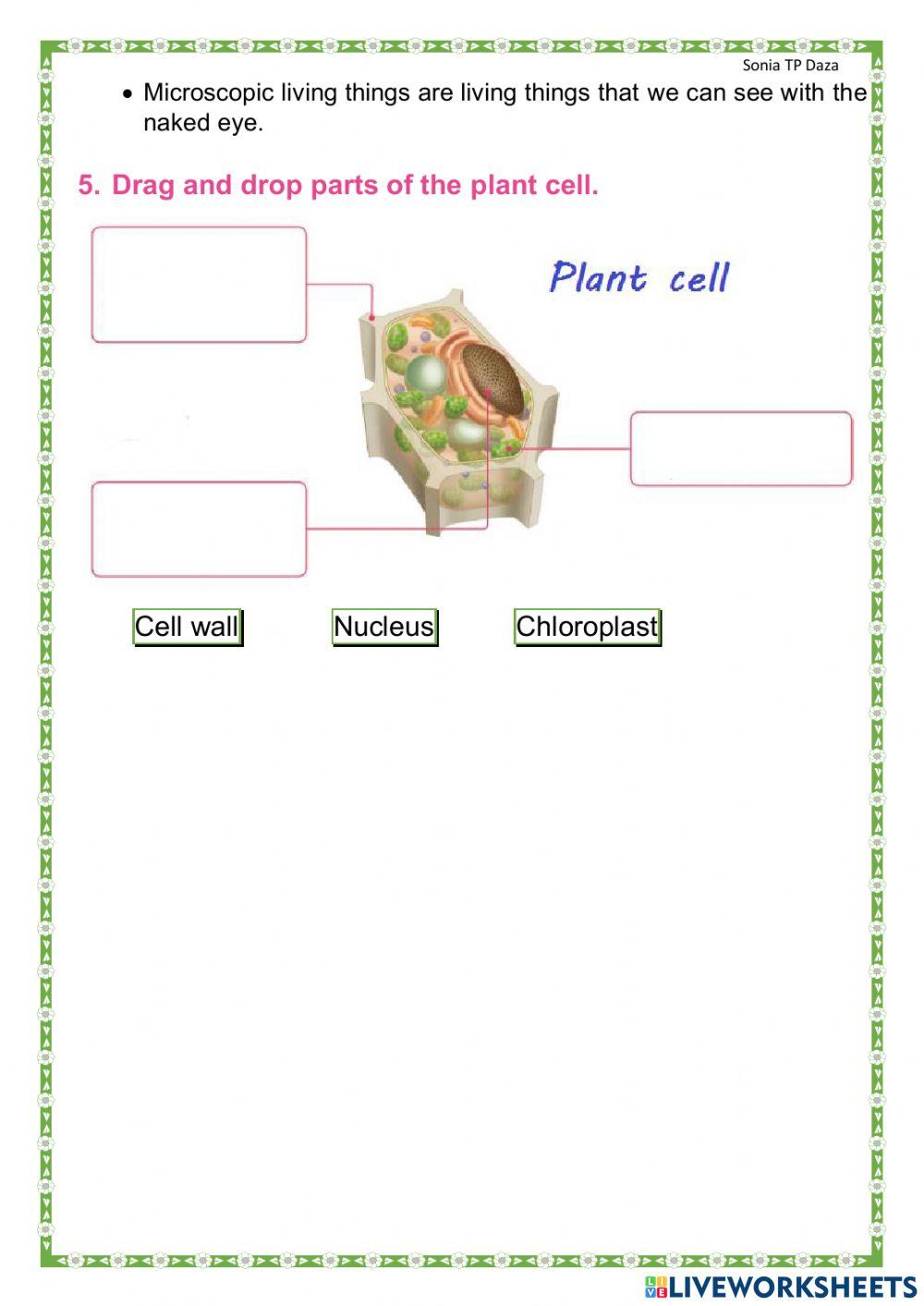 All about living things