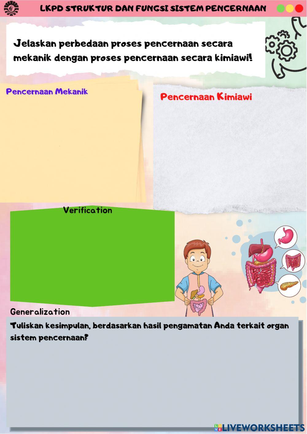 E-LKPD Organ Pencernaan Manusia